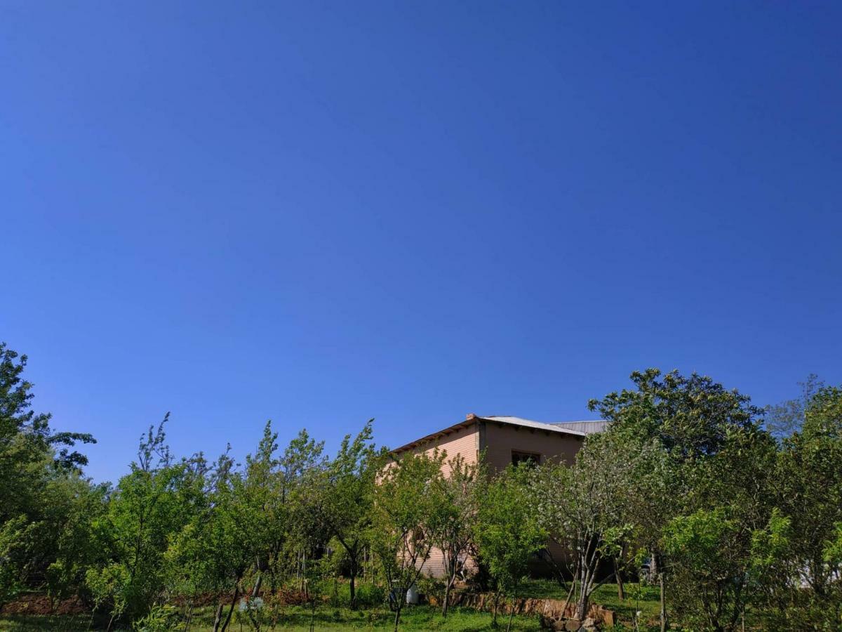 Сибиряк Tskaltubo Exterior photo